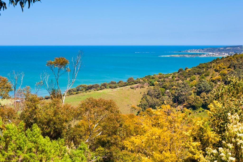 Beacon Point Ocean View Villas Skenes Creek Extérieur photo