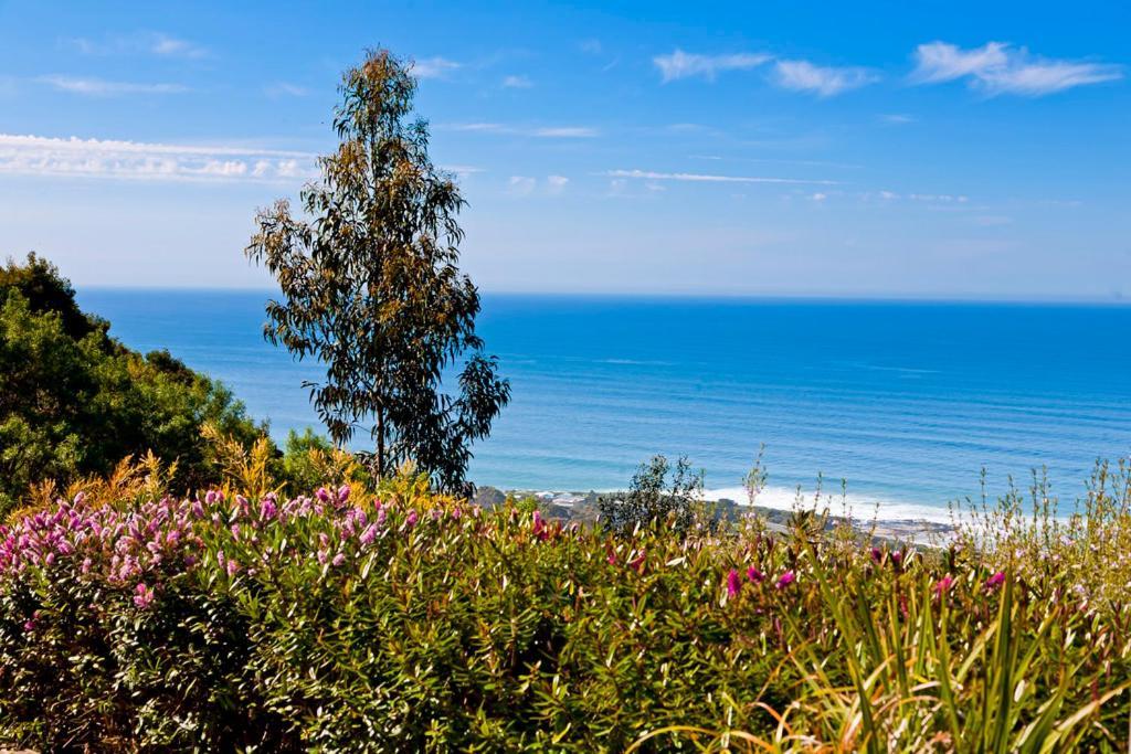 Beacon Point Ocean View Villas Skenes Creek Extérieur photo