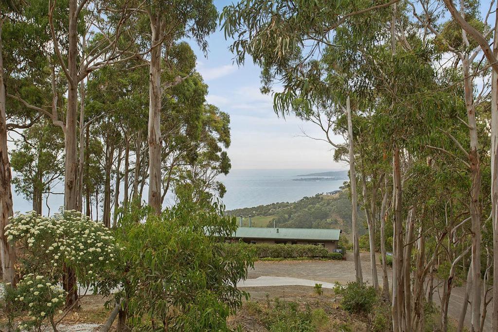 Beacon Point Ocean View Villas Skenes Creek Extérieur photo